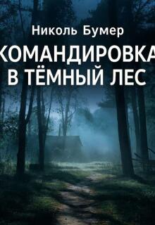 Командировка в темный лес