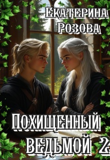 Похищенный ведьмой. Ведьма  и охотник. Том 2.