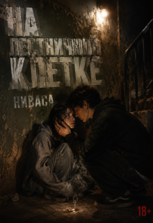 На лестничной клетке