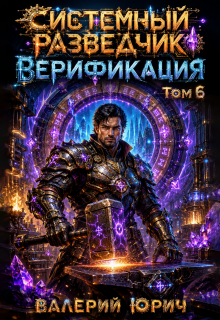 Системный разведчик. Верификация. Том 6