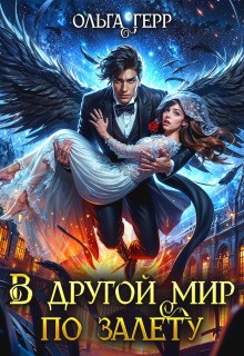 В другой мир по залету