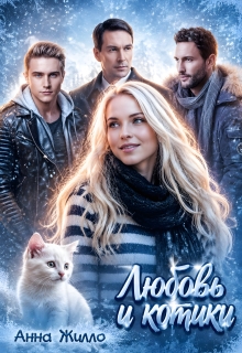 Любовь и котики